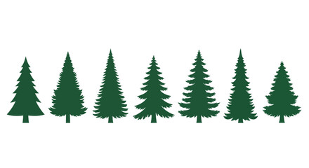 Fototapeta premium A row of seven different silhouettes of evergreen trees.