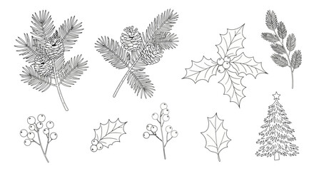 Detailed line art illustration of various winter foliage, including pine branches, holly, berries, and a Christmas tree.