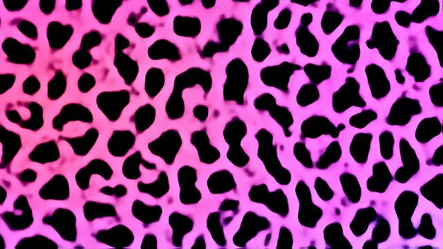 Abstract, textured backdrop showcasing a pattern of black blotches on a vibrant pink and purple gradient