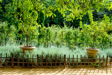 JARDIN DE CADIOT -24--42233.JPG