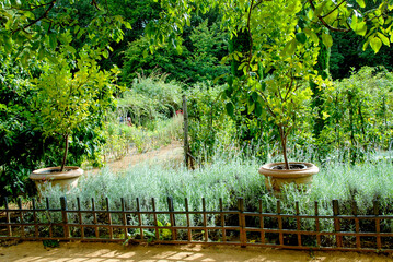 JARDIN DE CADIOT -24--42232.JPG