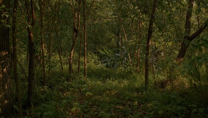 Obraz premium Plant bathed in early sunlight