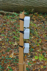 Three white, rectangular environmental monitoring devices are strapped vertically to a wooden post in a leafy forest setting.