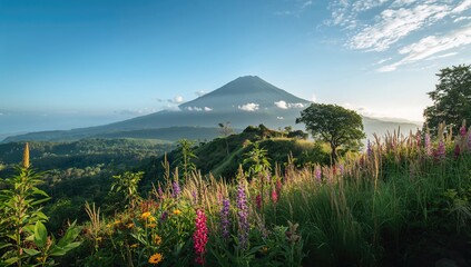 Fototapeta premium A View of Volcanic Peaks from a Scenic Spot in Eastern Java