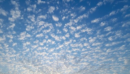 Obraz premium Backdrop of a blue sky filled with many tiny clouds