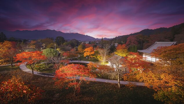 Eikando Garden illuminated after dark during the fall season