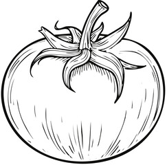 black and white apple vector illustration