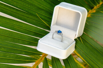 Exquisite blue sapphire and diamond engagement ring nestled in a white box on a vibrant green palm leaf, suggesting a romantic tropical proposal
