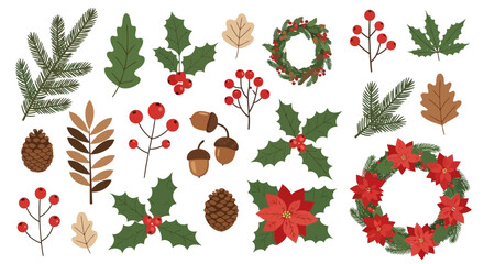 Festive Holiday Foliage Assorted Christmas Botanical Illustrations