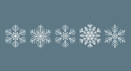 Delicate Snowflake Variety Winter Season Vector Illustration for Holiday Designs