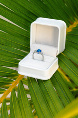 Exquisite blue sapphire and diamond engagement ring nestled in a white box on a vibrant green palm leaf, suggesting a romantic tropical proposal