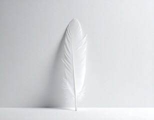 Elegant white feather leans gently against a bright, seamless, minimalist white backdrop