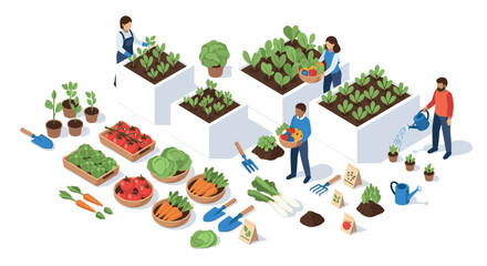 Obraz premium Urban gardening in isometric style: people cultivating vegetables in raised beds