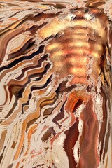 Abstract Flowing Earthy Texture Background with Central Light