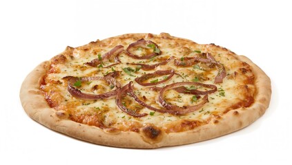 Single white pizza garnished with onions