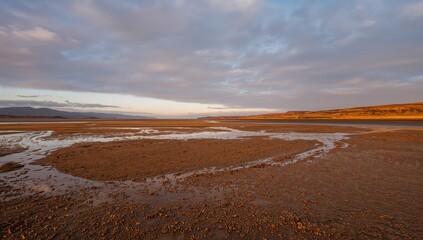 Muddy Shoreline at a Coastal Sandbank with River and Natural Landscape