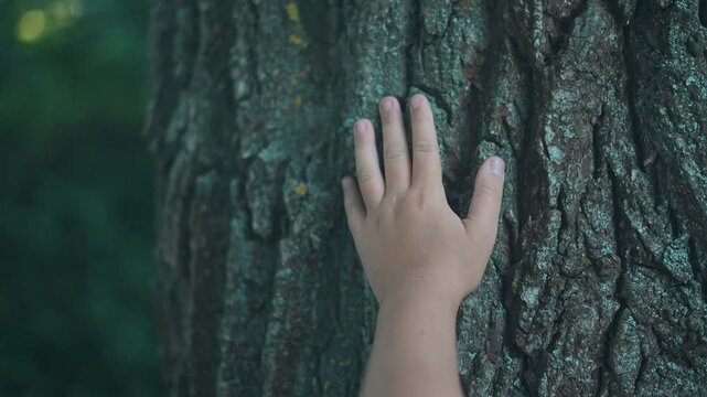 Child hand rests on tree bark surface. Nature contact visible. Texture of wood under fingers. Forest background soft. Skin touches bark. Hand exploring tree. Child connects with texture in forest.