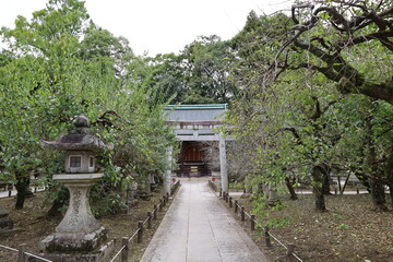 A Japanese shrine : the scene of a subordinate one in the precincts of Kitano-tenmangu Shrine in Kyoto City