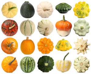 Fresh pumpkins and other vegetables of gourd family isolated on white, set