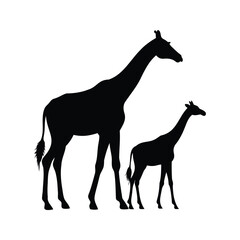 Silhouette of adult giraffe standing next to its calf on white background, giraffe mother with baby silhouette vector illustration