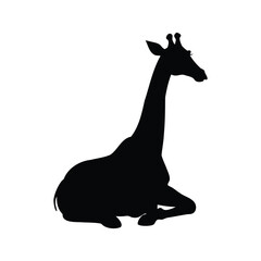 Silhouette of a giraffe sitting down in a calm and relaxed posture, giraffe sitting silhouette vector illustration © hamiduls11arts