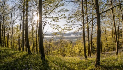 Fototapeta premium Springtime splendor of a lush forest with vibrant green leaves and trees