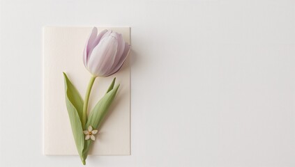 Fototapeta premium Card design featuring tulips in soft purple, pale green, and white hues