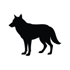 Black Silhouette of a Wolf Standing, Isolated on a White Background, wolf hunting stance silhouette vector illustration