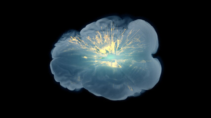 Basal Ganglia Thalamocortical Dopaminergic Pathway Axial View