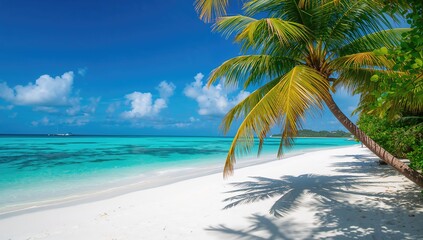 Fototapeta premium Tropical paradise beach scene with white sands and palm trees under a bright summer sky