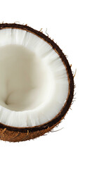 Close-up of a halved coconut showcasing its white fleshy interior