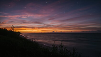 Obraz premium Summer evening by the northern Baltic Sea with vibrant skies, dark outlines of the shoreline, and lush plants.