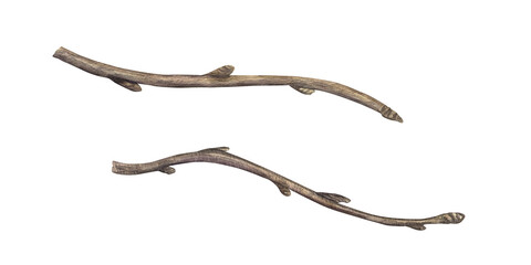 Obraz premium Watercolor two branches set illustration with buds on isolated background. Brown bare tree branch without leaves clip art. Decorative dry twigs for Christmas design, seasonal decor.