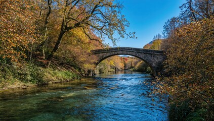 Stream passes beneath a wooden bridge in a dense woodland