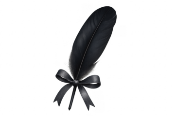 Black feather quill with ribbon bow on transparent background