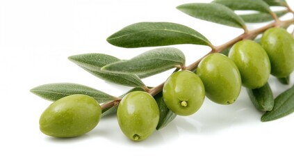 Obraz premium Branch of green olives isolated on a white background
