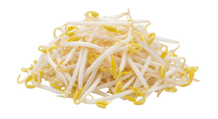 Pile of white and yellow bean sprouts on black