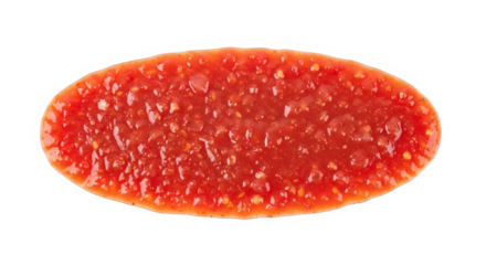 Salsa in an oval shape against a black background