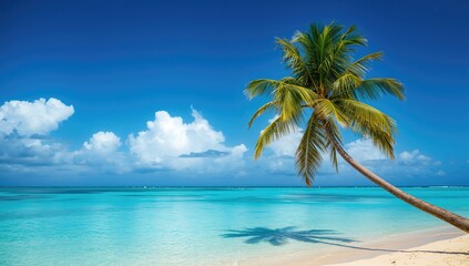 Charming coastal paradise with clear skies mirrored in calm waters alongside a coconut palm