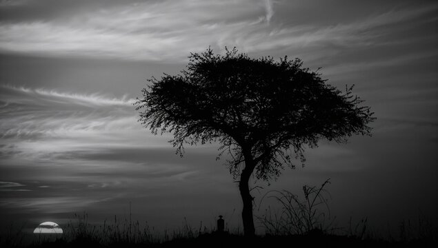 Sunset glow beneath a tree with a glowing lamp in the sky, travel theme, tree silhouette, black background, evening light, air concept