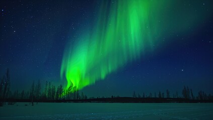 Northern Lights Display Over a Winter Night Landscape
