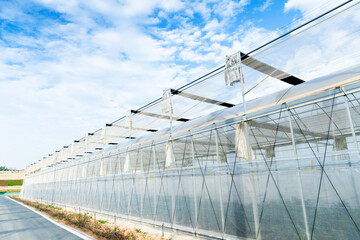 Fototapeta premium The exterior of a modern glasshouse