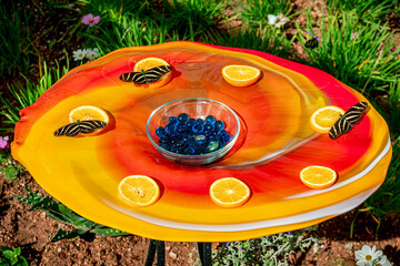 Zebra longwing butterflies feeding in a spring garden