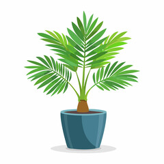 Obraz premium Palme in einem Topf