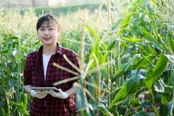 Young woman farmer using digital tablet in corn field