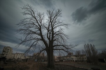 Fototapeta premium Haunted deserted town with radioactive fallout following a nuclear accident