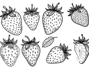Hand-drawn black and white strawberry illustrations