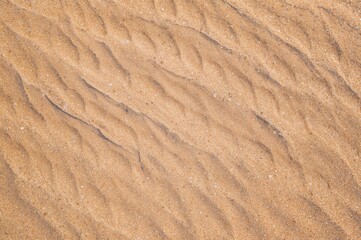 Fototapeta premium Overhead shot of smooth sand pattern as a natural backdrop