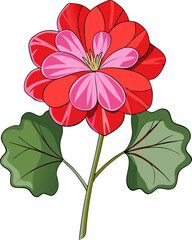 single Geranium  flowers vector art icon white background  
