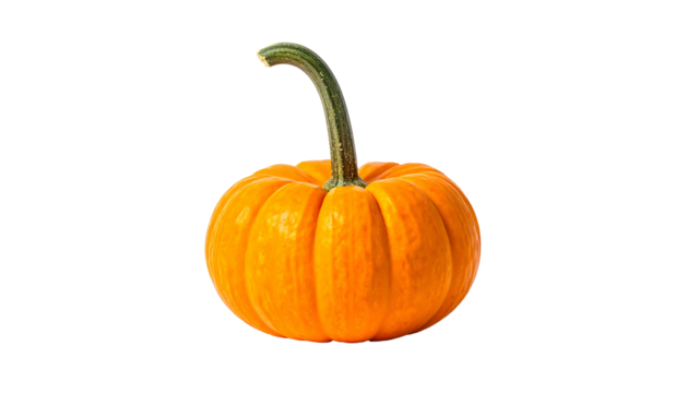 Small orange pumpkin with a curved stem, isolated against a black background, smooth skin, and ribbed texture